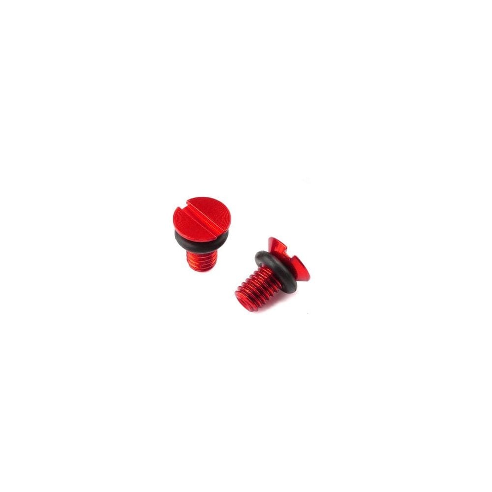 Zeta - Fork Air Valve Screw x2 - WP