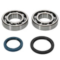 EngineWorx - Crank/Main Bearing & Seal Kit - Beta 4T RR350/400/450/498 (24-1123)